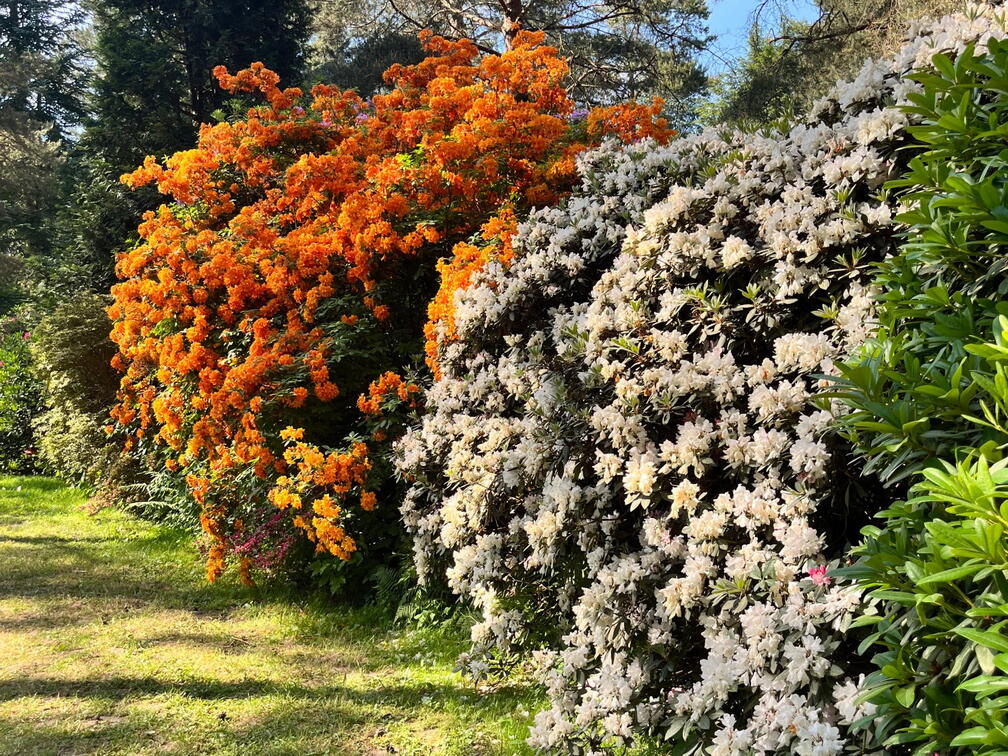 23-06-03 16-57-13 5807